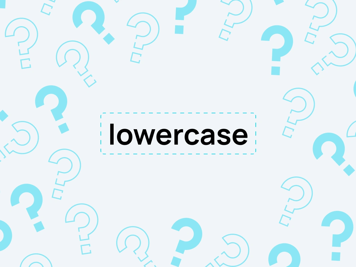 Lowercase converter example showing lowercase text formatting
